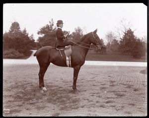 セントラルパークの手綱の道で馬に提起されたビーチ夫人の肖像、1898年（銀ゼラチンプリント）